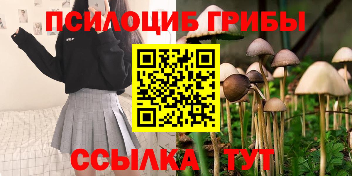 Псилоцибиновые грибы ЛСД Камень-на-Оби